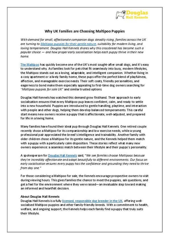 PDF document image preview