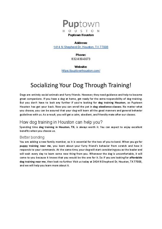 PDF document image preview