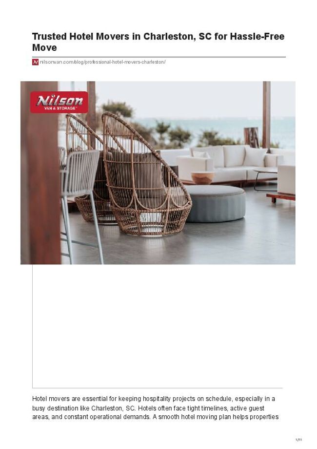 PDF document image preview