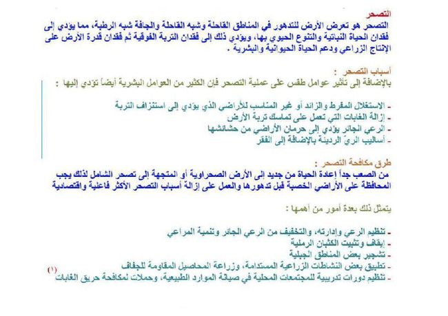 PDF document image preview