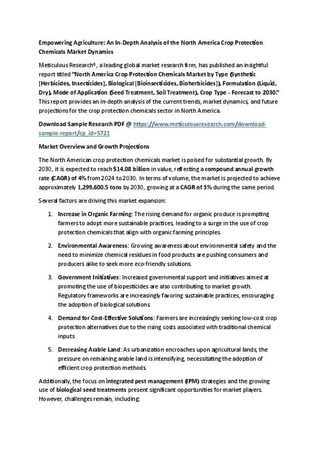 PDF document image preview