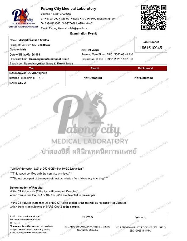 PDF document image preview