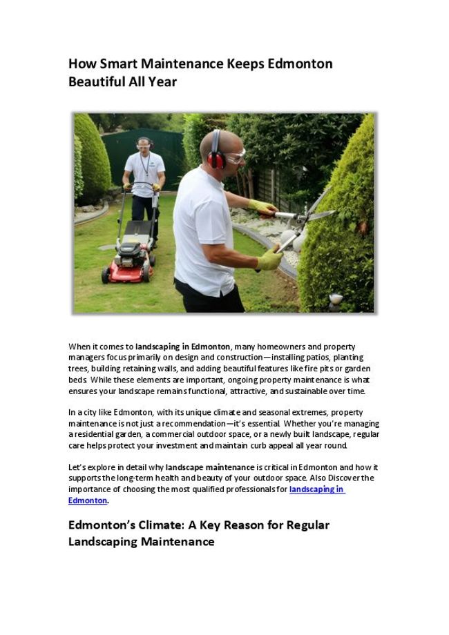 PDF document image preview