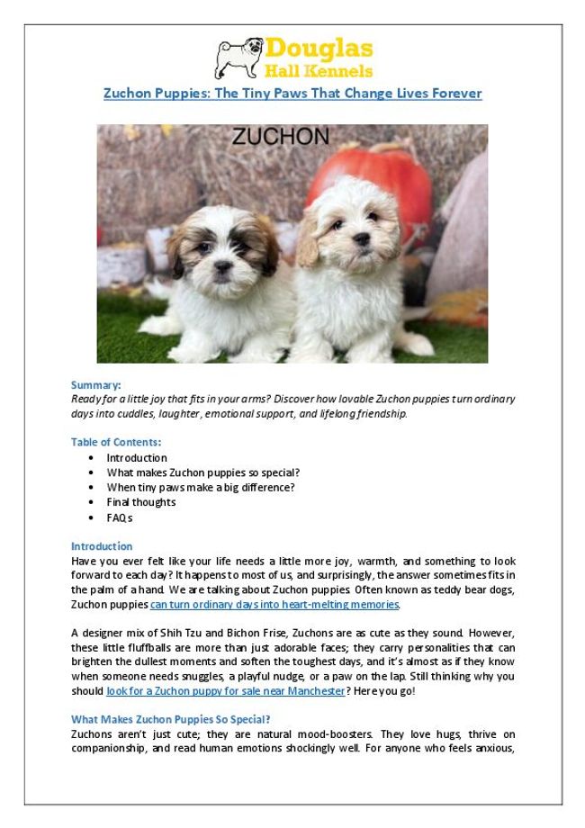 PDF document image preview