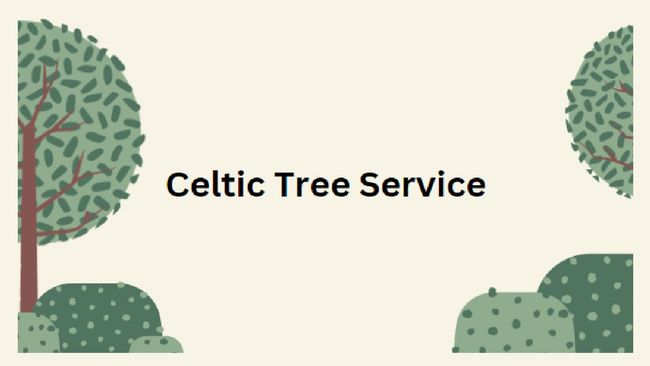 PDF document image preview