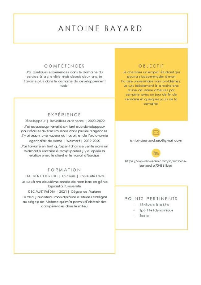 PDF document image preview