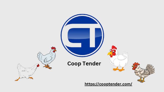 PDF document image preview