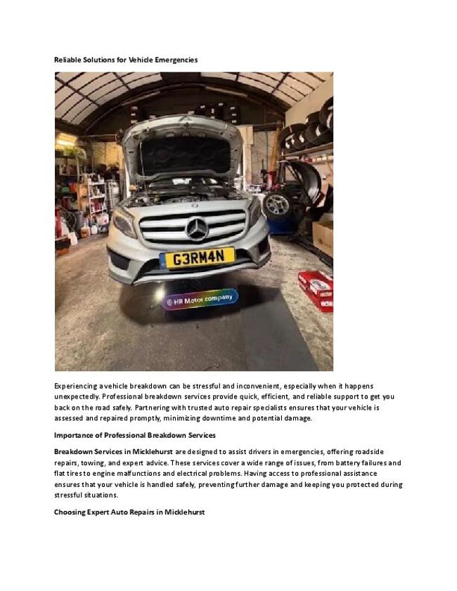 PDF document image preview