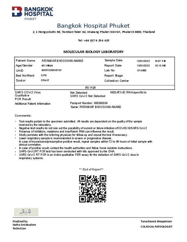 PDF document image preview