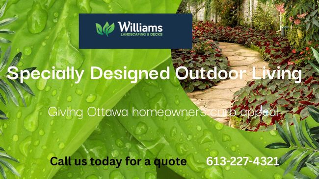 PDF-Dokument vorschau