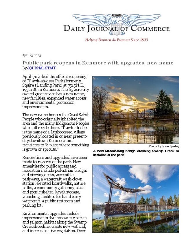 PDF document image preview