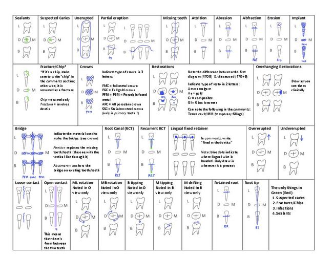 PDF document image preview