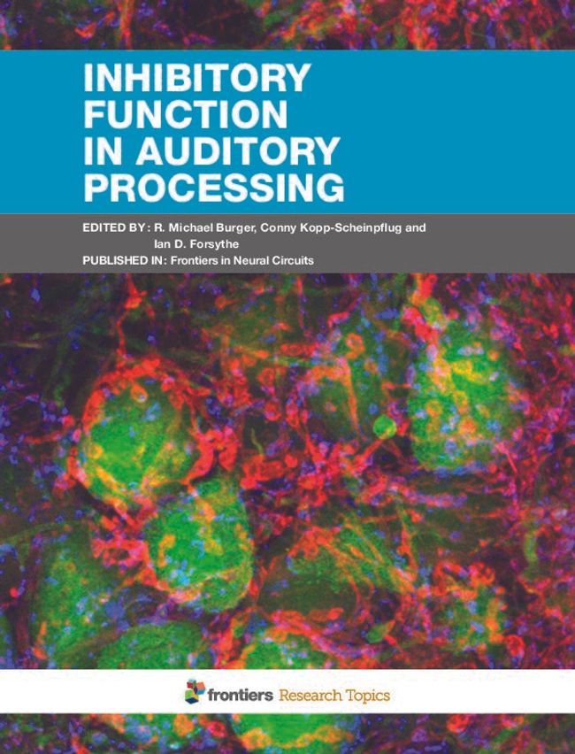 PDF document image preview