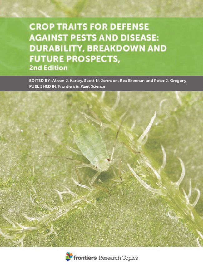 PDF document image preview