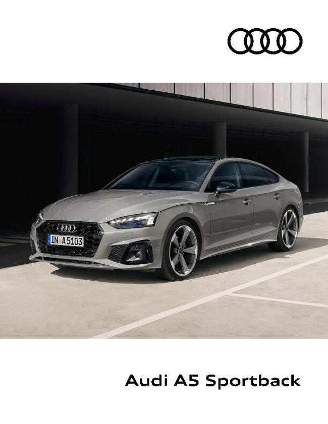 PDF document image preview