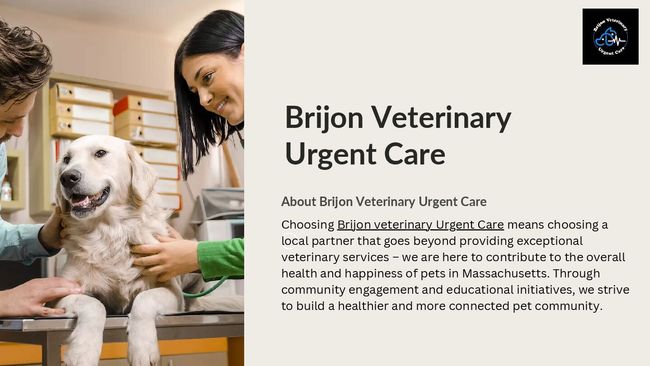 PDF document image preview