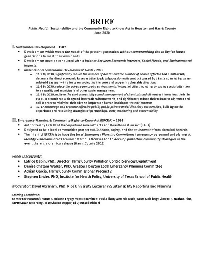Anteprima d'immagine di documento PDF