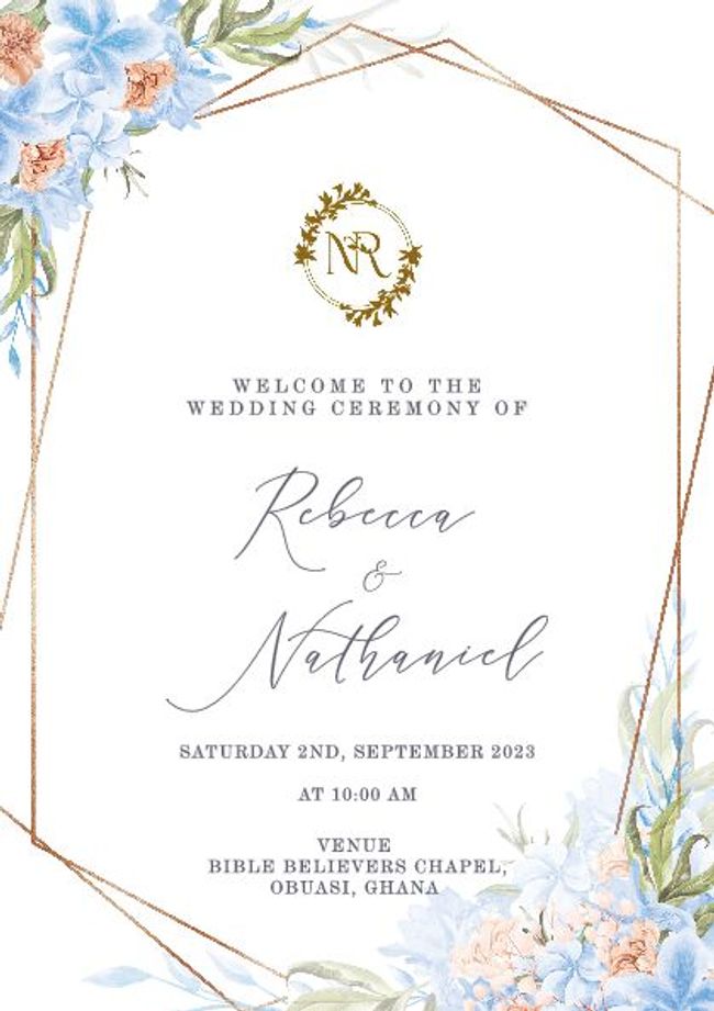 PDF document image preview