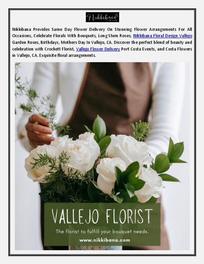 PDF document image preview