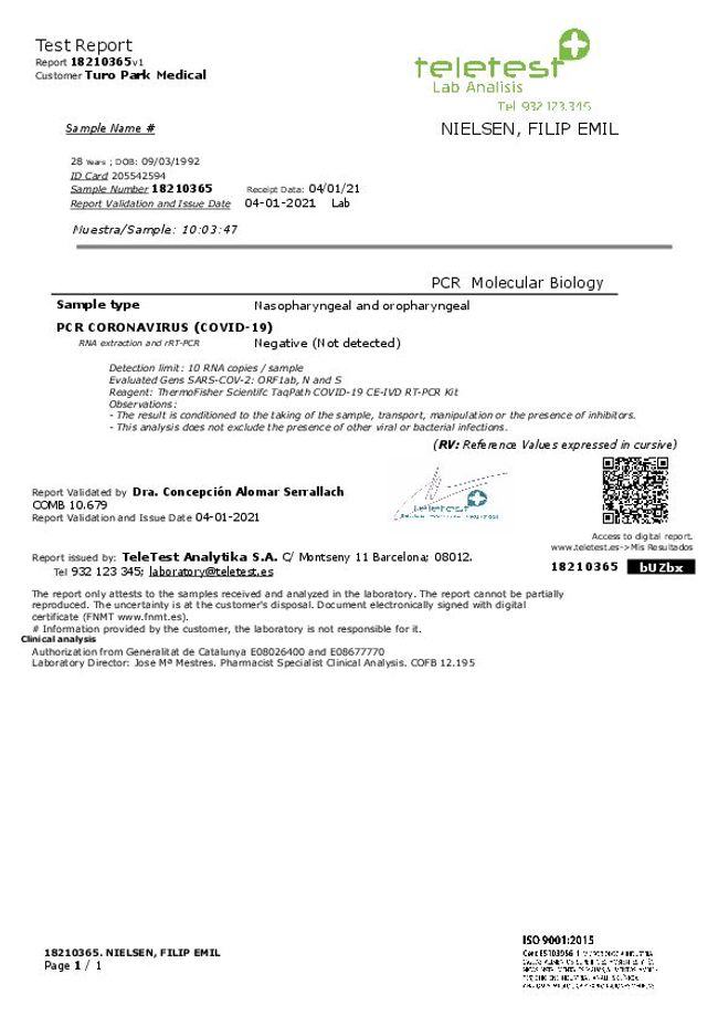 PDF document image preview