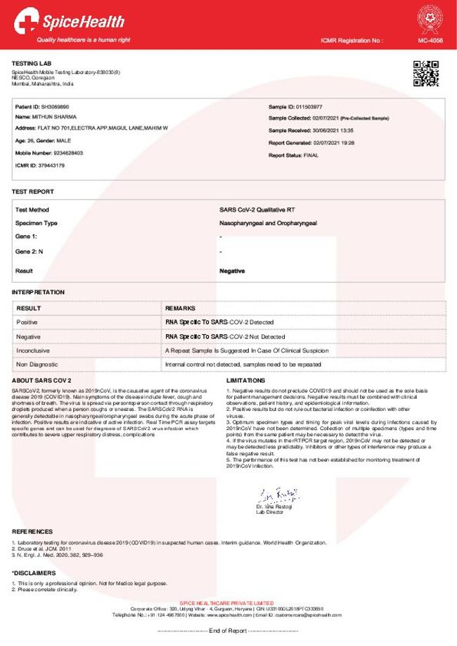 PDF document image preview