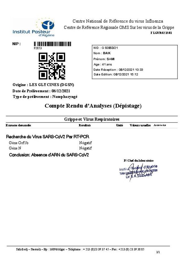 PDF document image preview