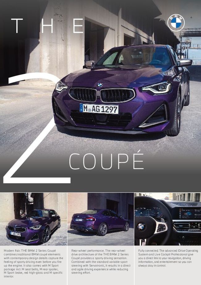 PDF document image preview