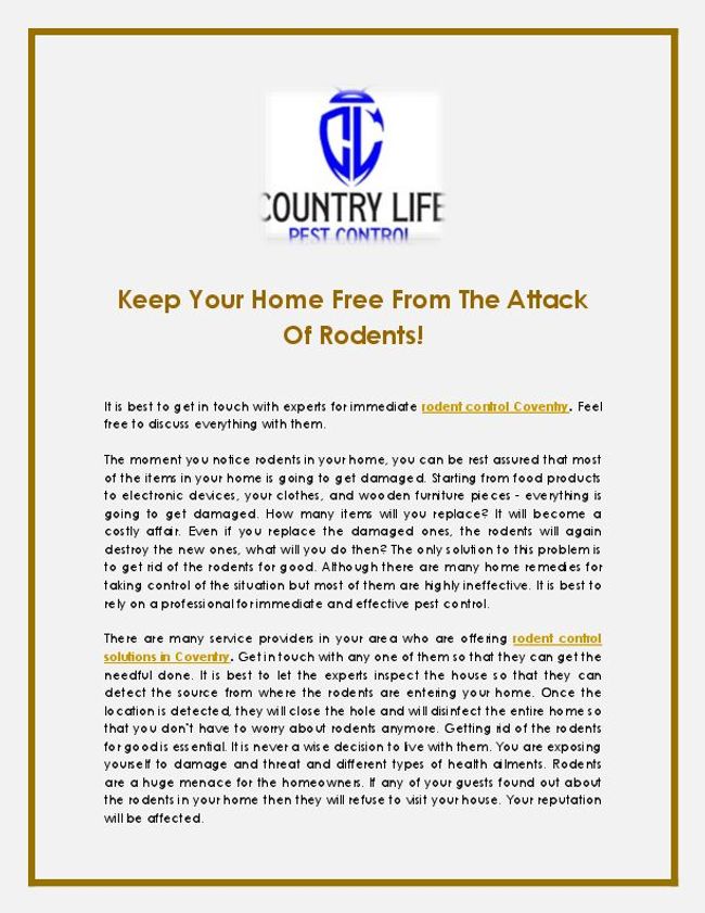 PDF document image preview