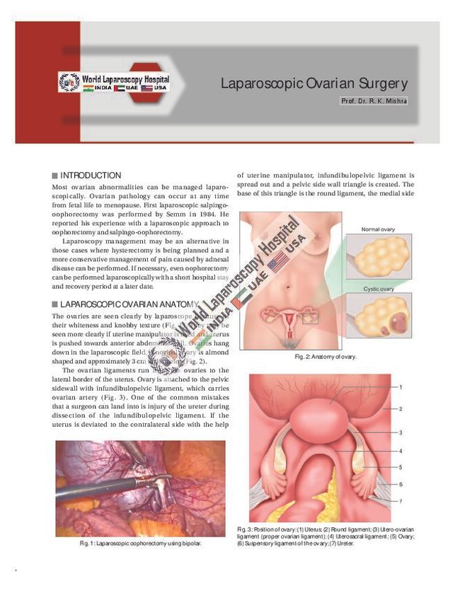 PDF document image preview