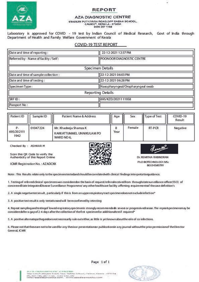 PDF document image preview