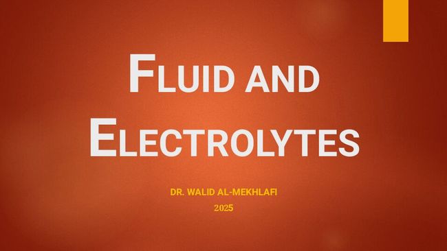 PDF document image preview