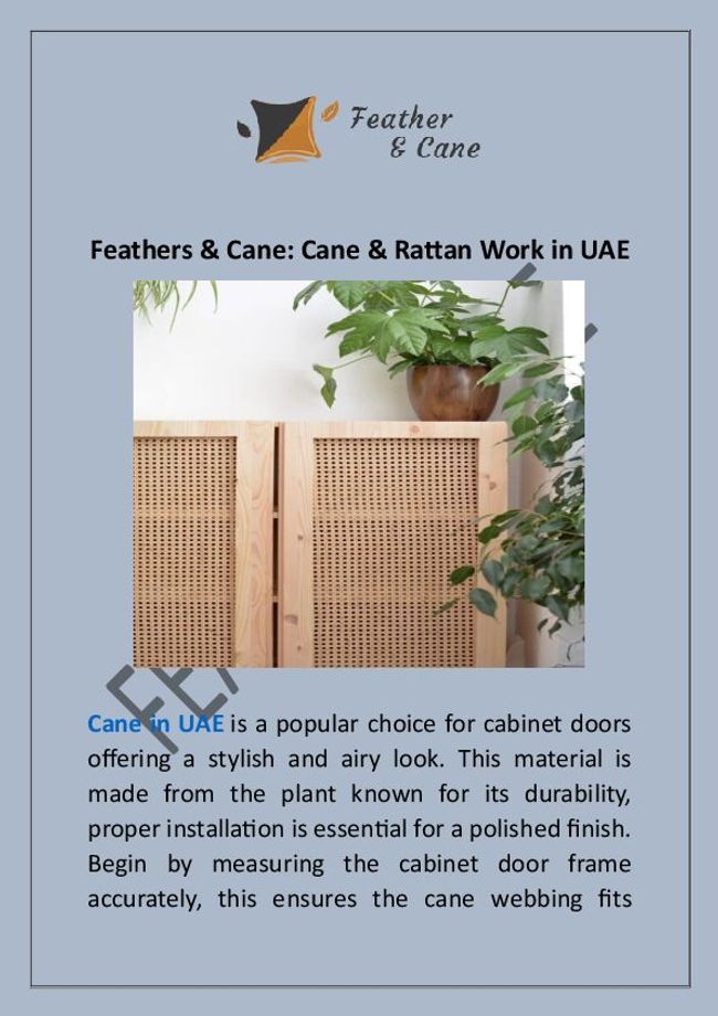 PDF document image preview