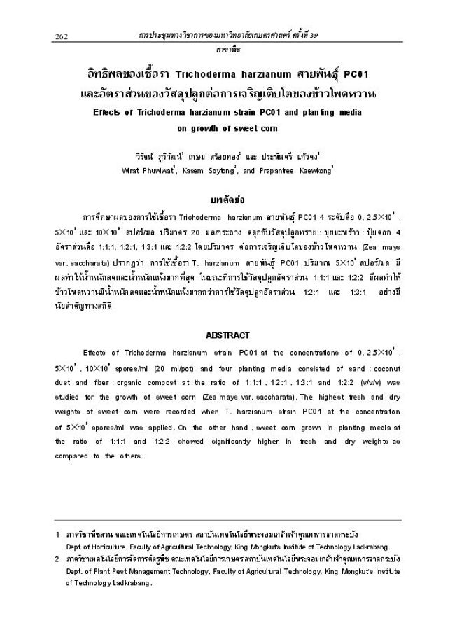 PDF document image preview