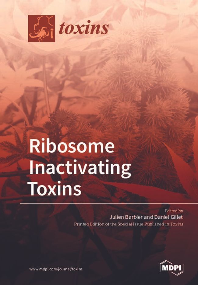 PDF document image preview