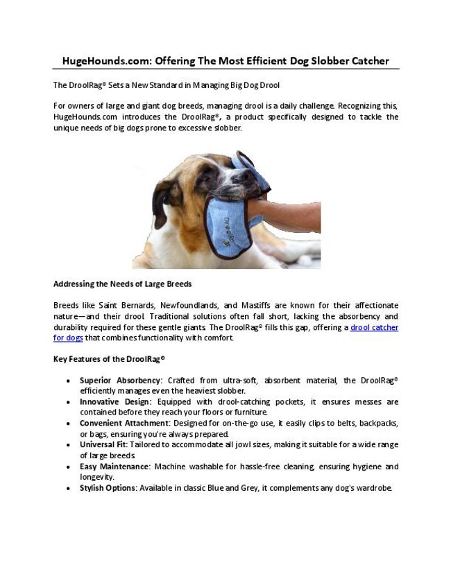 PDF document image preview