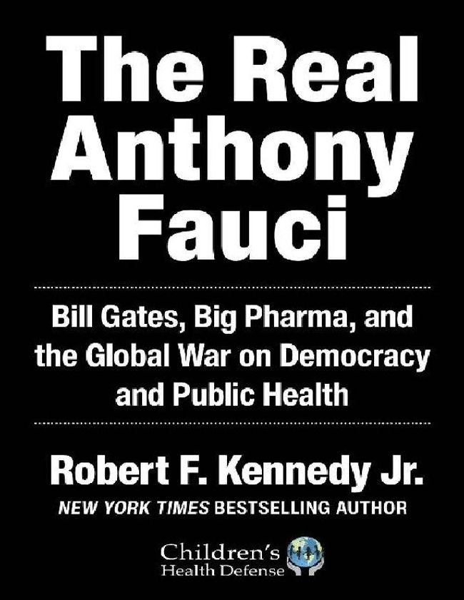 PDF document image preview