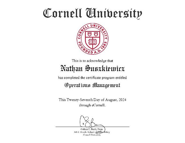 PDF document image preview