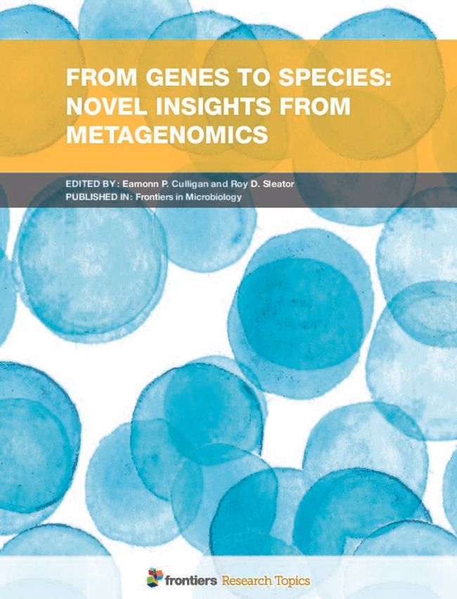 PDF document image preview