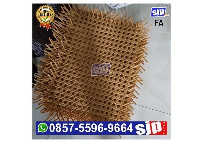 PDF document image preview