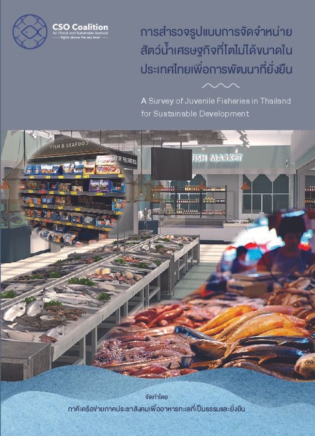 PDF document image preview