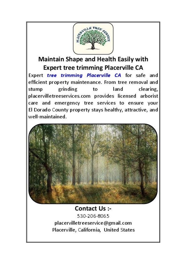 PDF document image preview