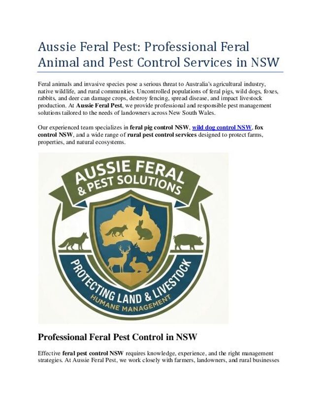 PDF document image preview