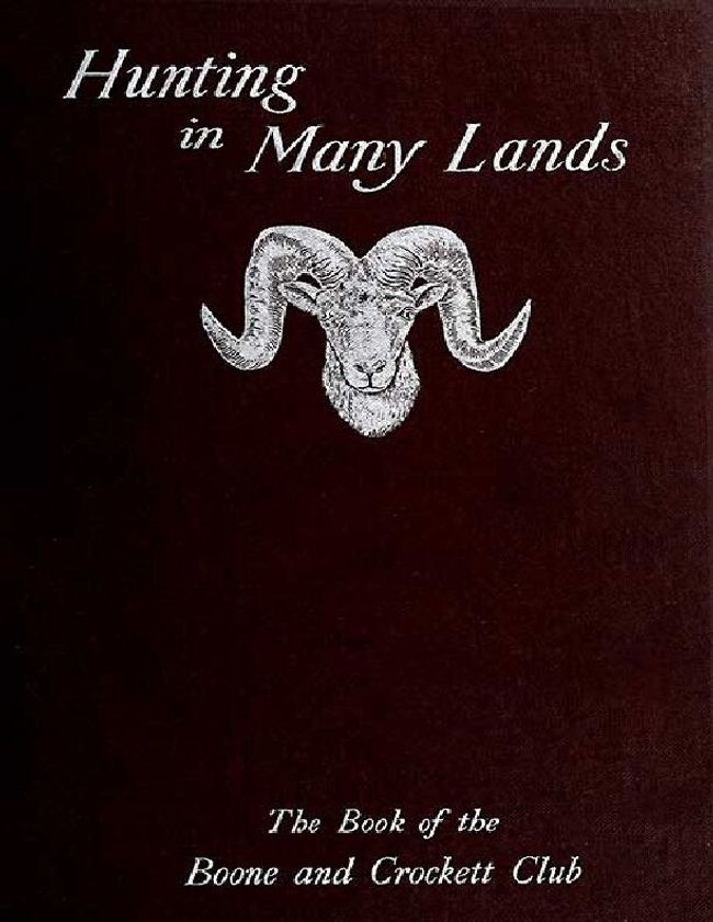 PDF document image preview