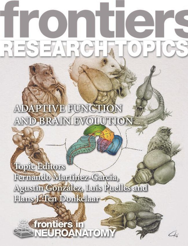 PDF document image preview