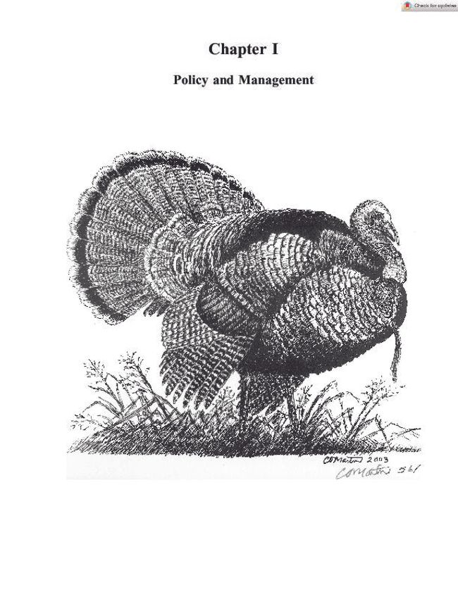 PDF document image preview