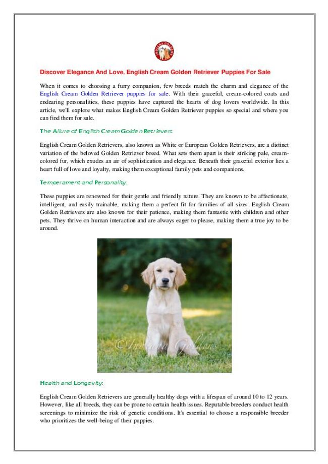 PDF document image preview