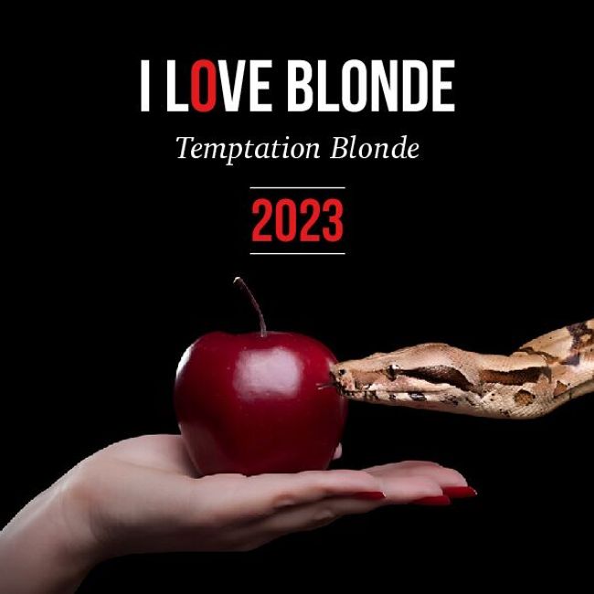 PDF 文件图像预览