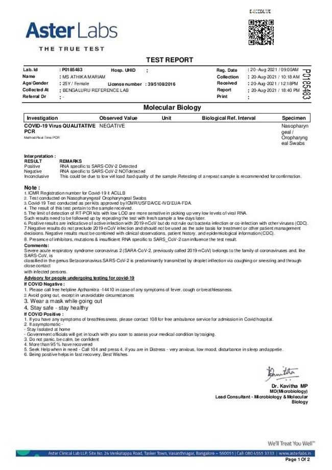 PDF document image preview