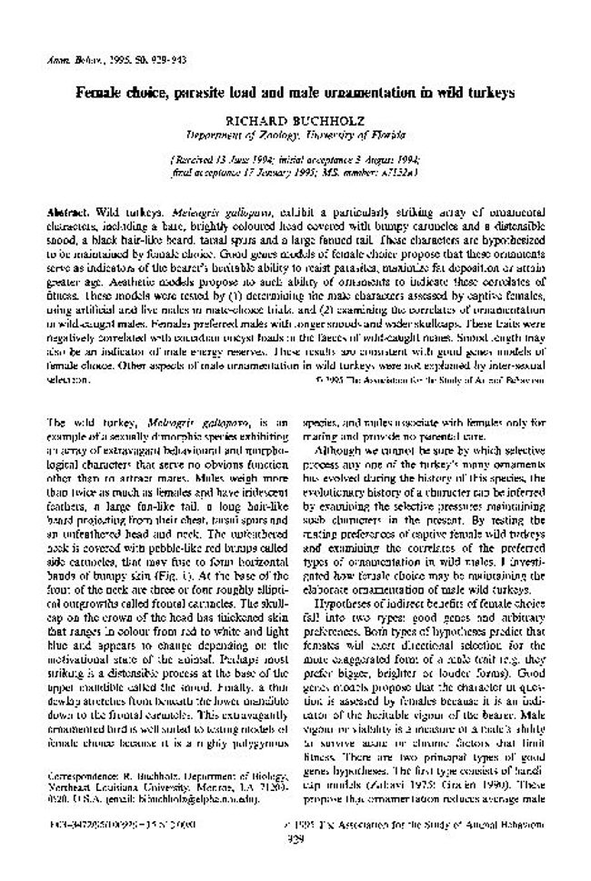 PDF document image preview