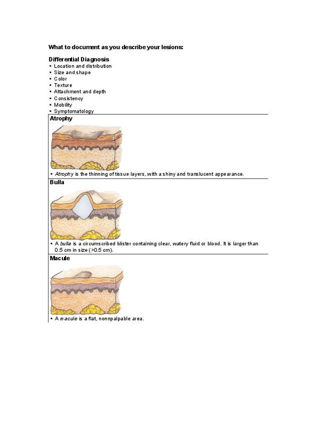 PDF document image preview